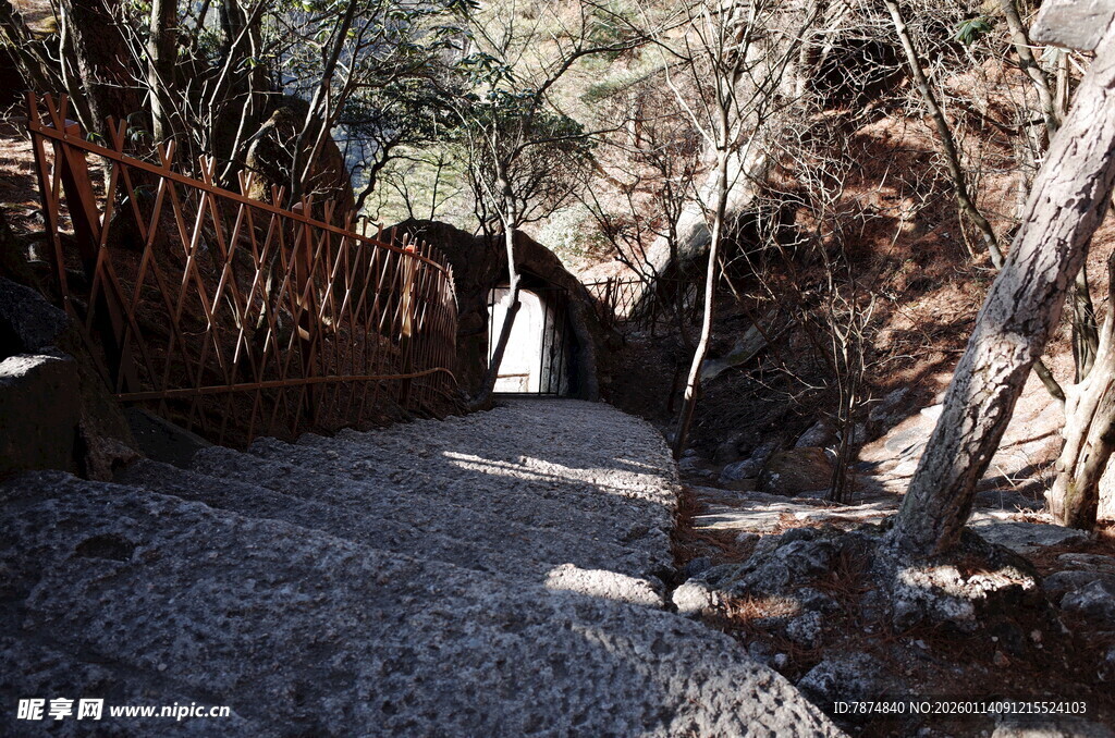 林间小道上的白色身影