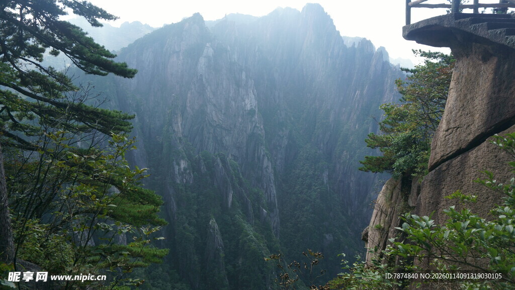 悬崖栈道旁的山林美景