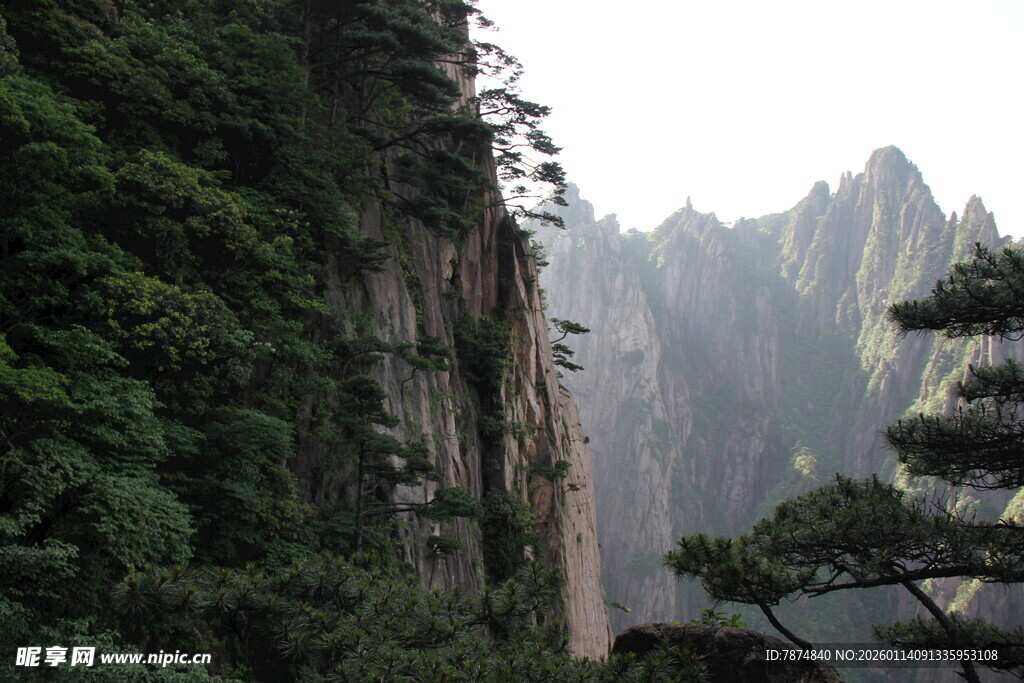 壮丽山间峭壁与葱郁植被
