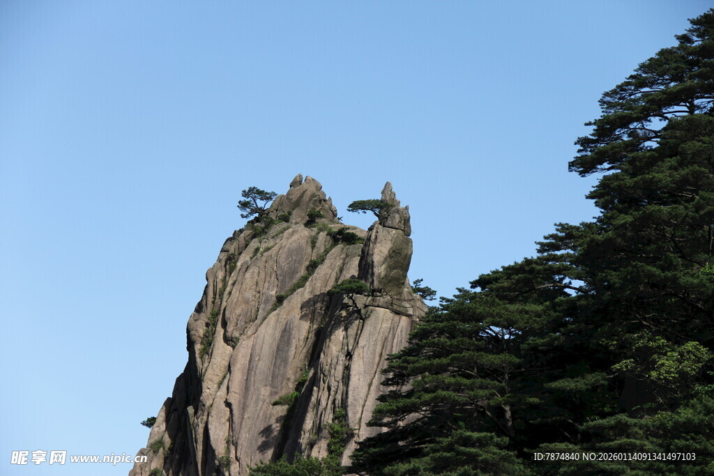黄山奇峰与葱郁林木