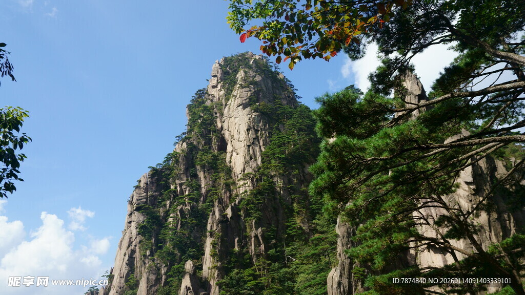 巍峨山峰与葱郁树木景观