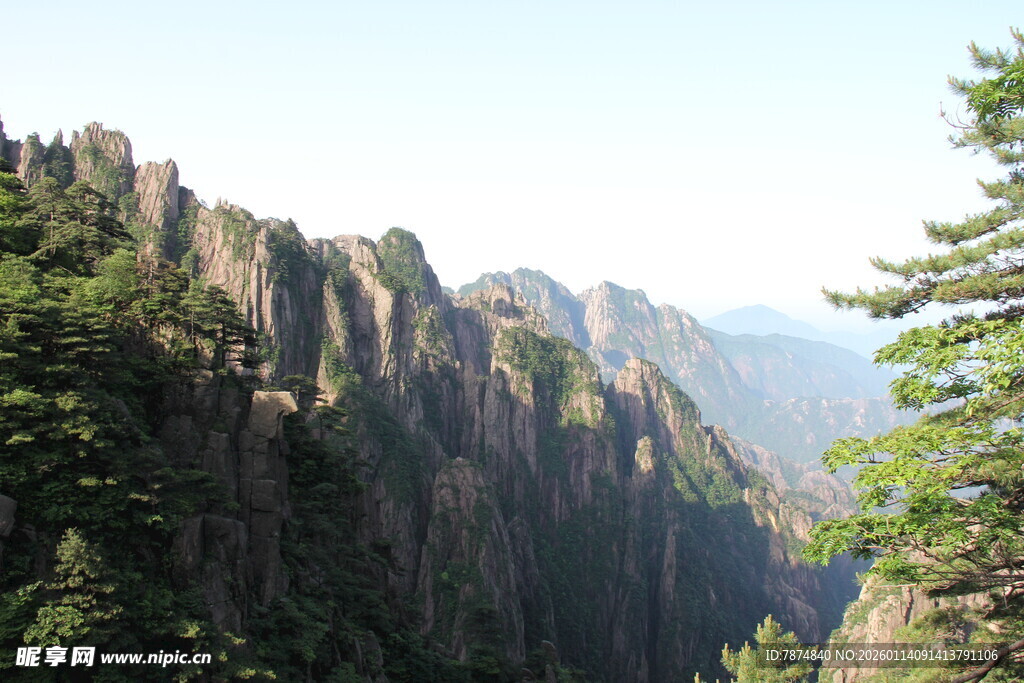 壮丽山峰与葱郁树木景观