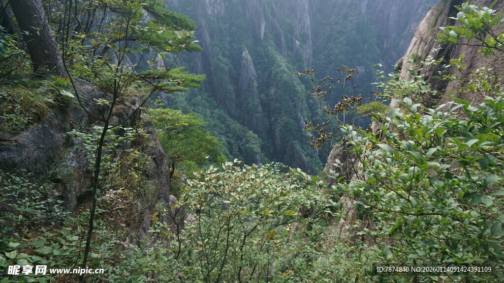 山间绿意盎然的深邃峡谷