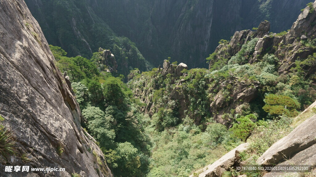 山间峭壁旁的葱郁植被