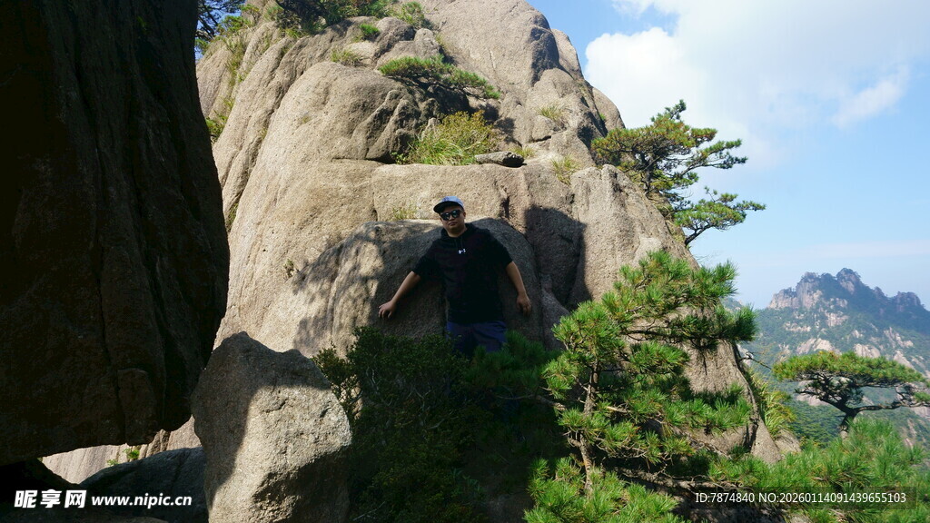 峻峭山石旁的翠绿松树