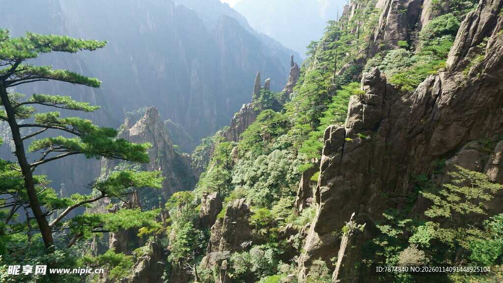 峻峭山峰与葱郁林木