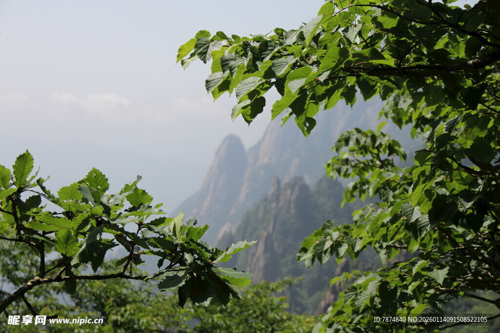 山间绿意与朦胧远山