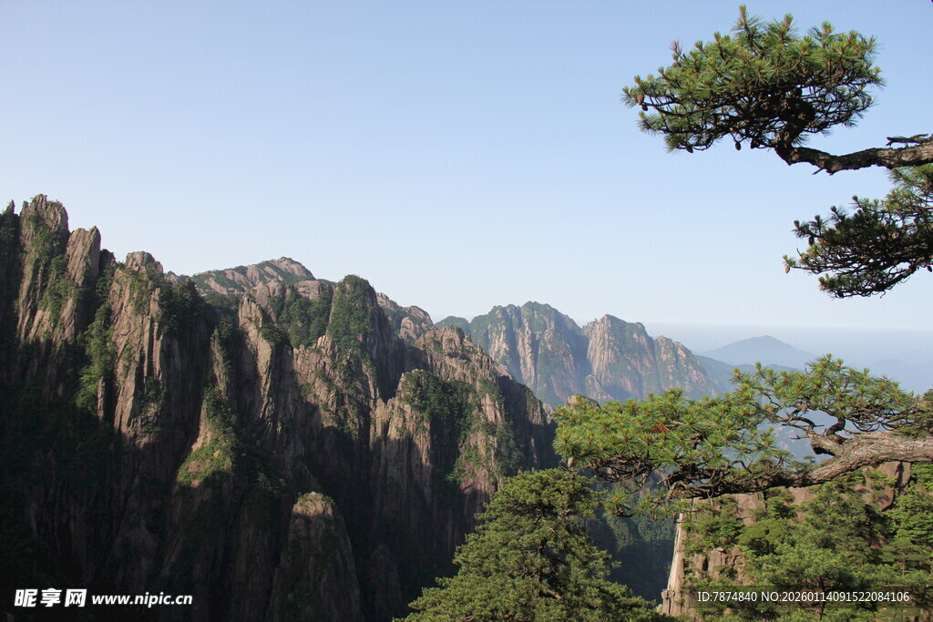 黄山奇峰与苍松景观