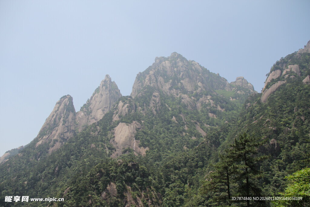 巍峨青山绿意浓