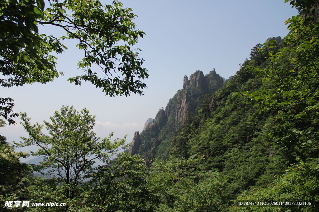 青山绿树间的秀丽山峰