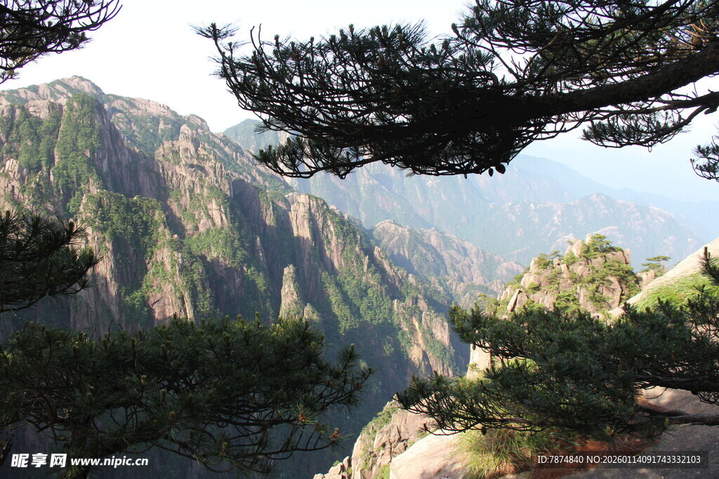 黄山奇峰与苍松景观