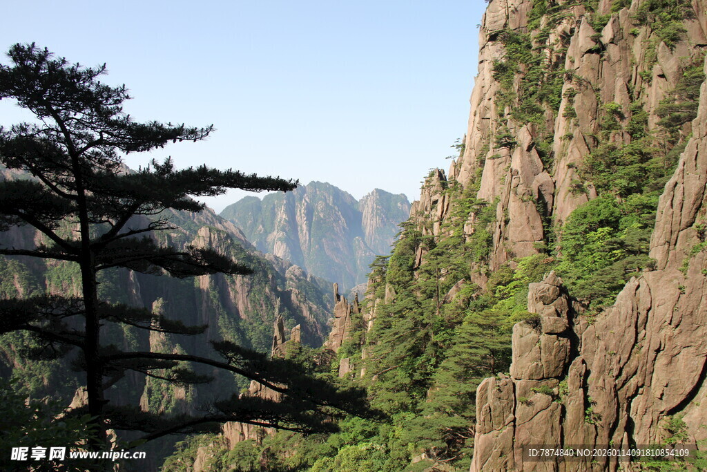 黄山奇峰与苍松美景