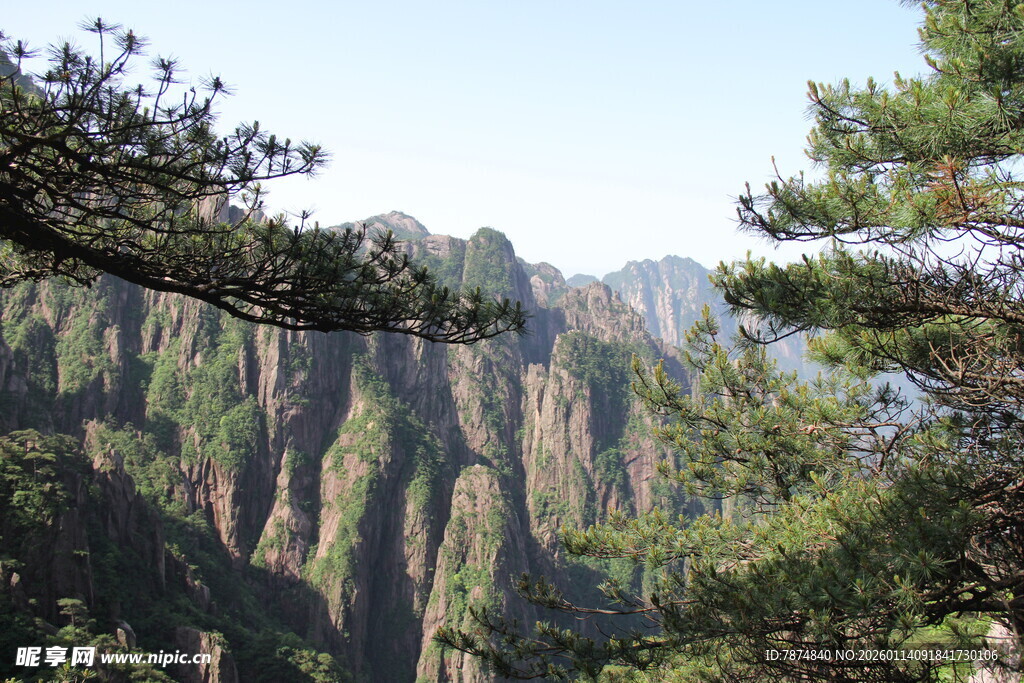壮丽黄山奇峰与松景