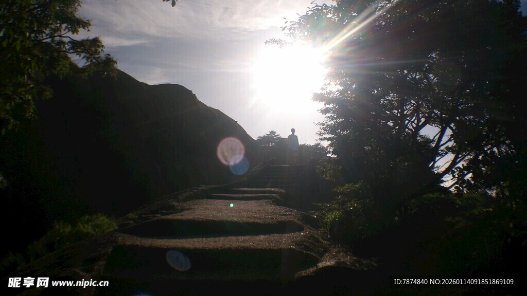 阳光穿透树林下的露营地