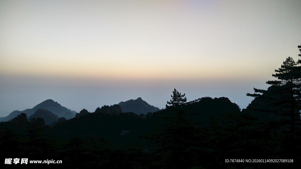 山间暮色中的葱郁林木