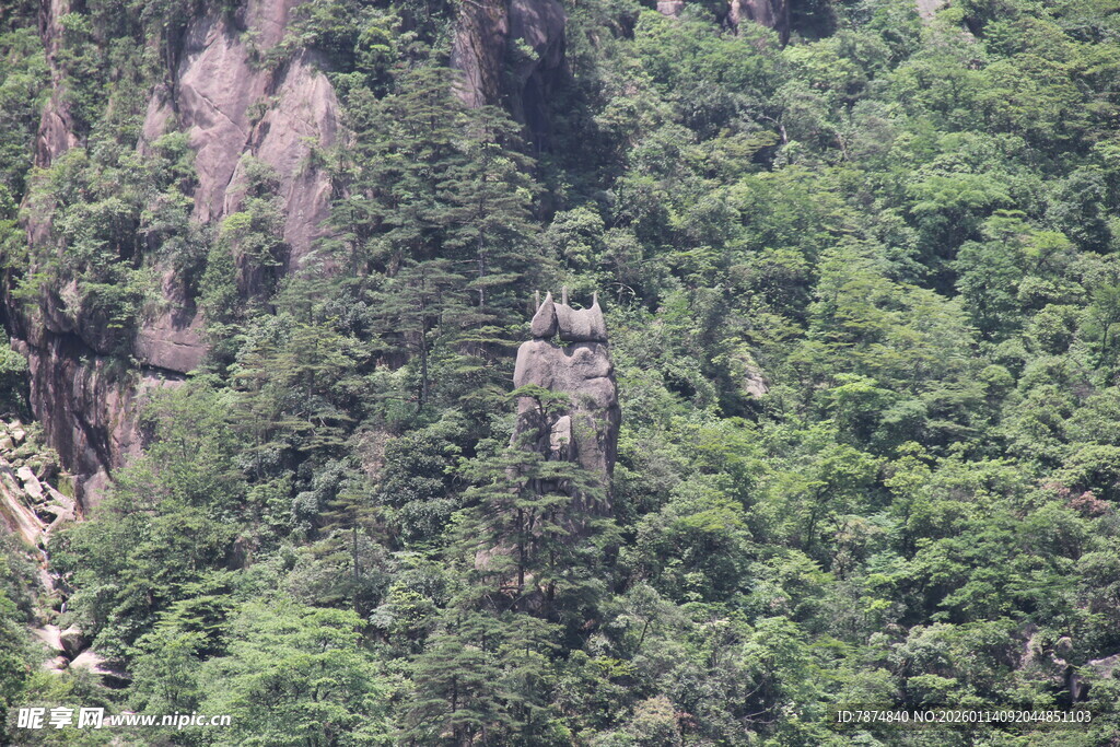 山林间的翠绿景致