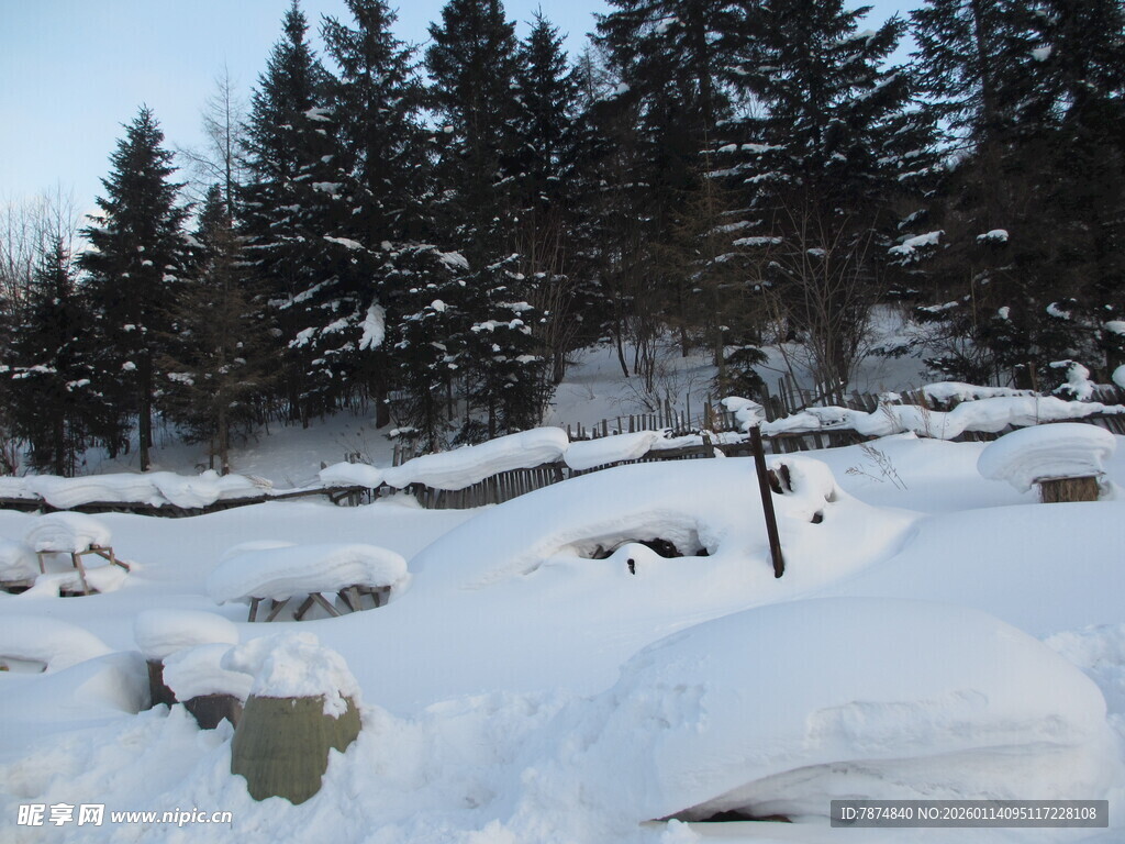 冬日雪景中的静谧山林