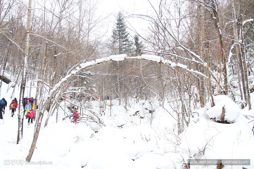 冬日雪地林间徒步场景