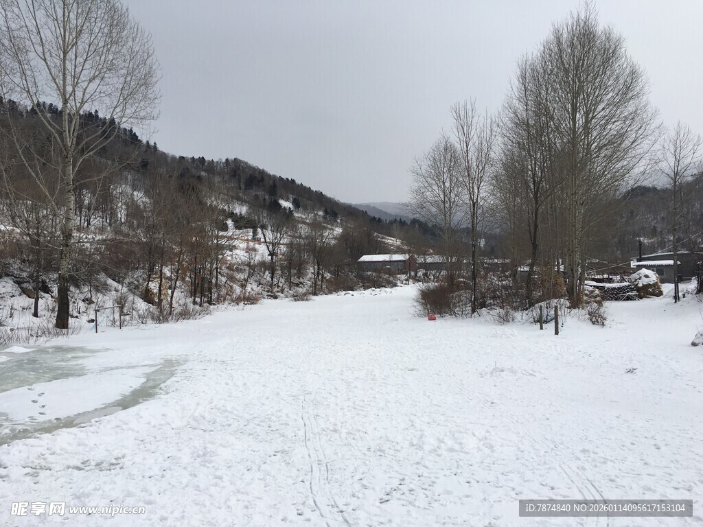 冬日雪景中的宁静乡村小道