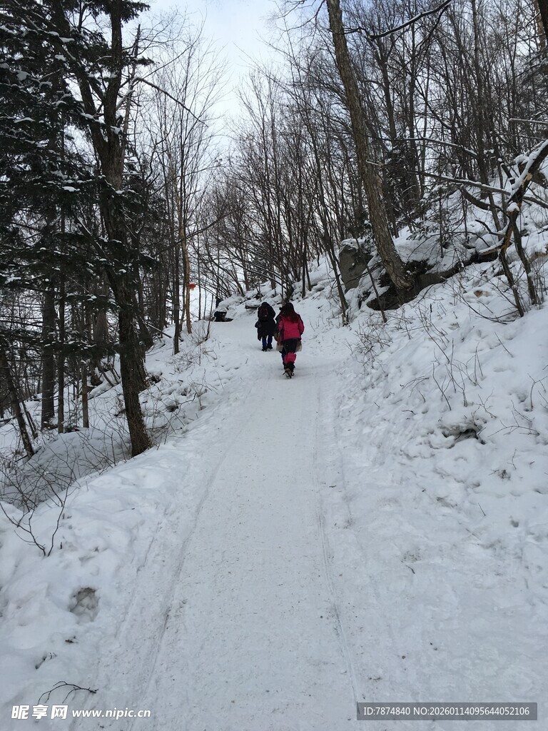 雪地徒步者穿行林间小道
