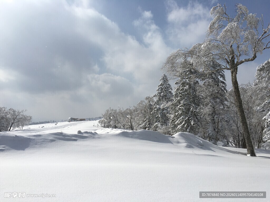冬日雪景中的银白世界