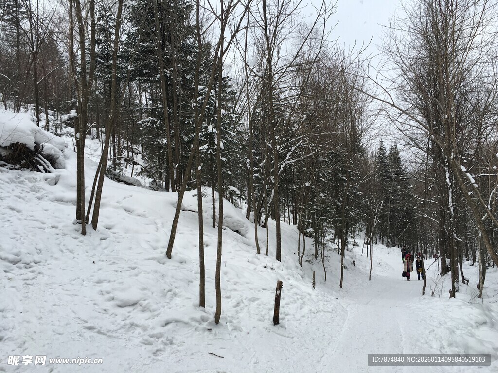 冬日雪覆山林小径