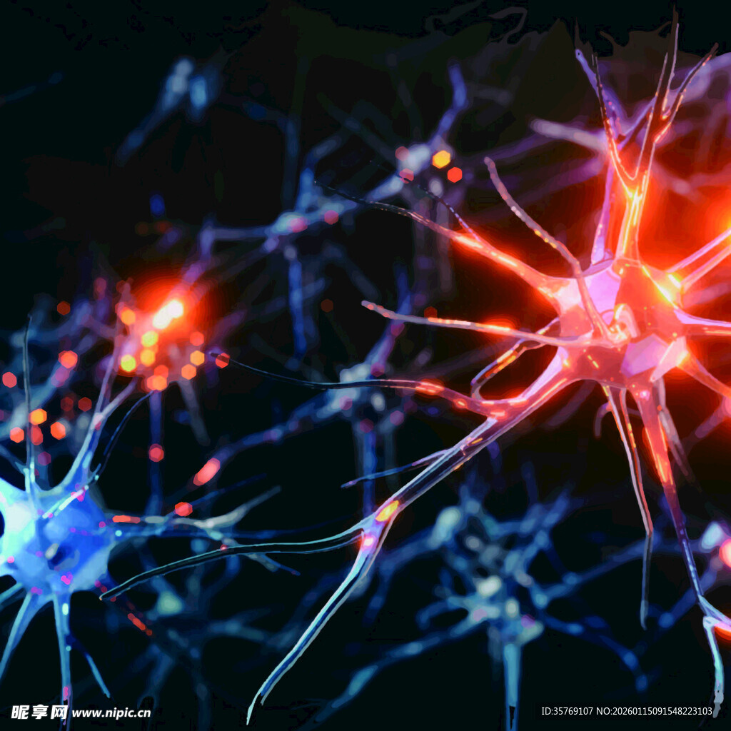 神经元的绚丽微观世界