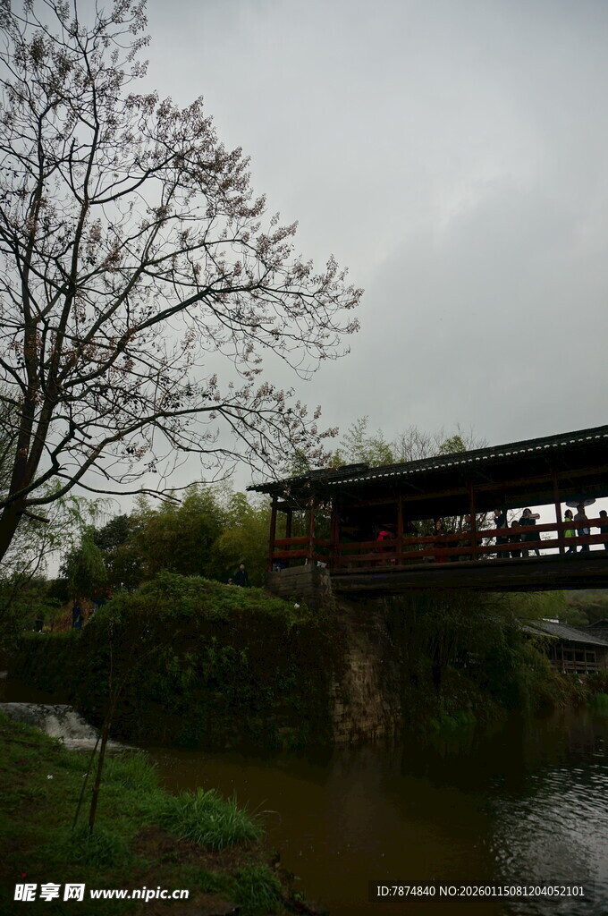 雨中河畔古桥与萧瑟树木