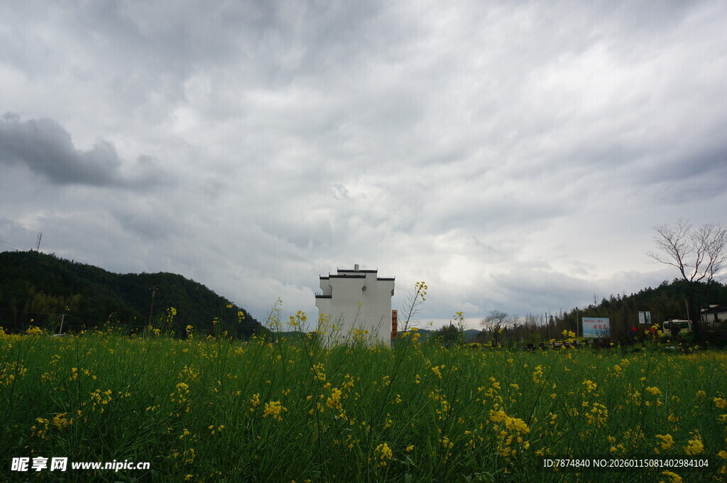 田园花海中的白色建筑