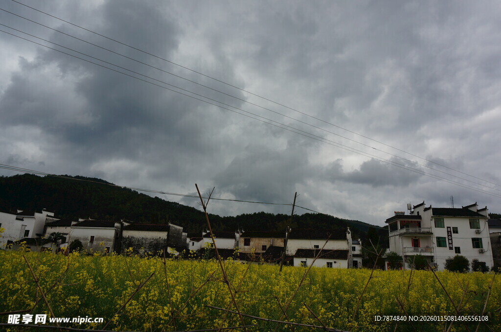 田园油菜花与村落美景