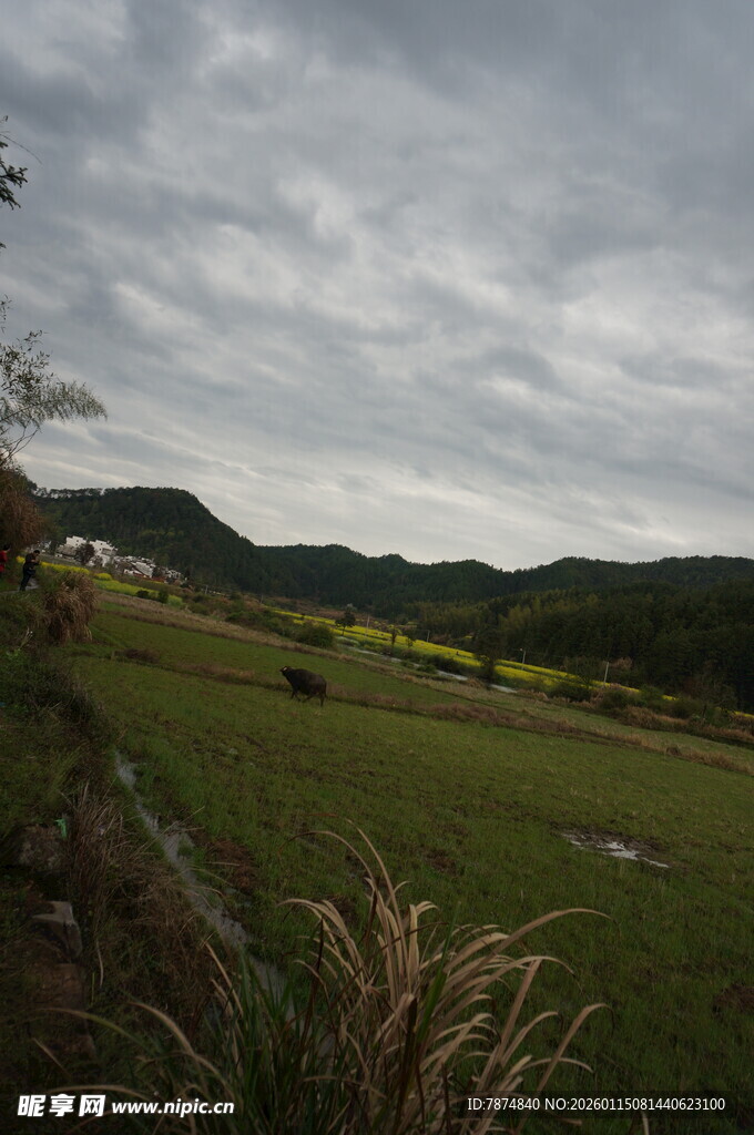 山间绿野 云遮天际景色