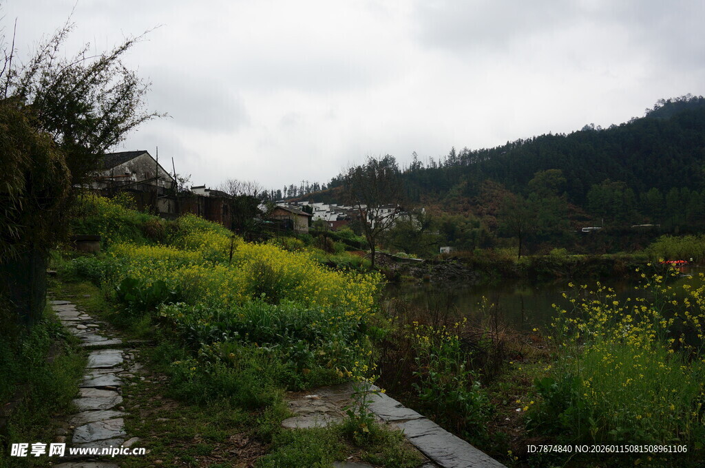 山间小径旁的田园风光