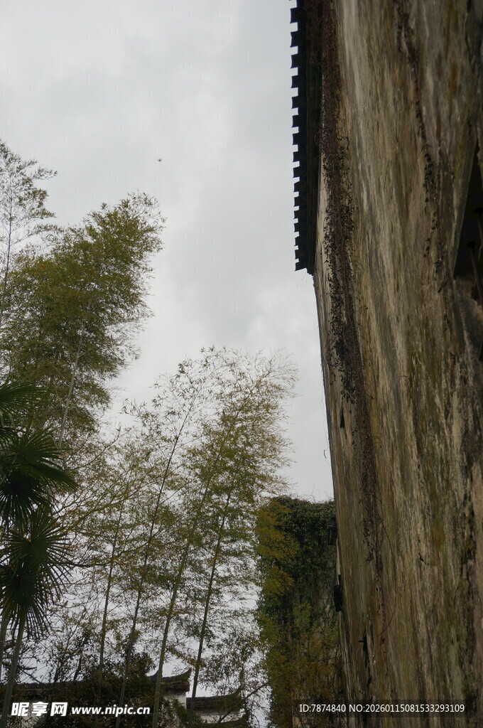 古墙边的翠竹景致