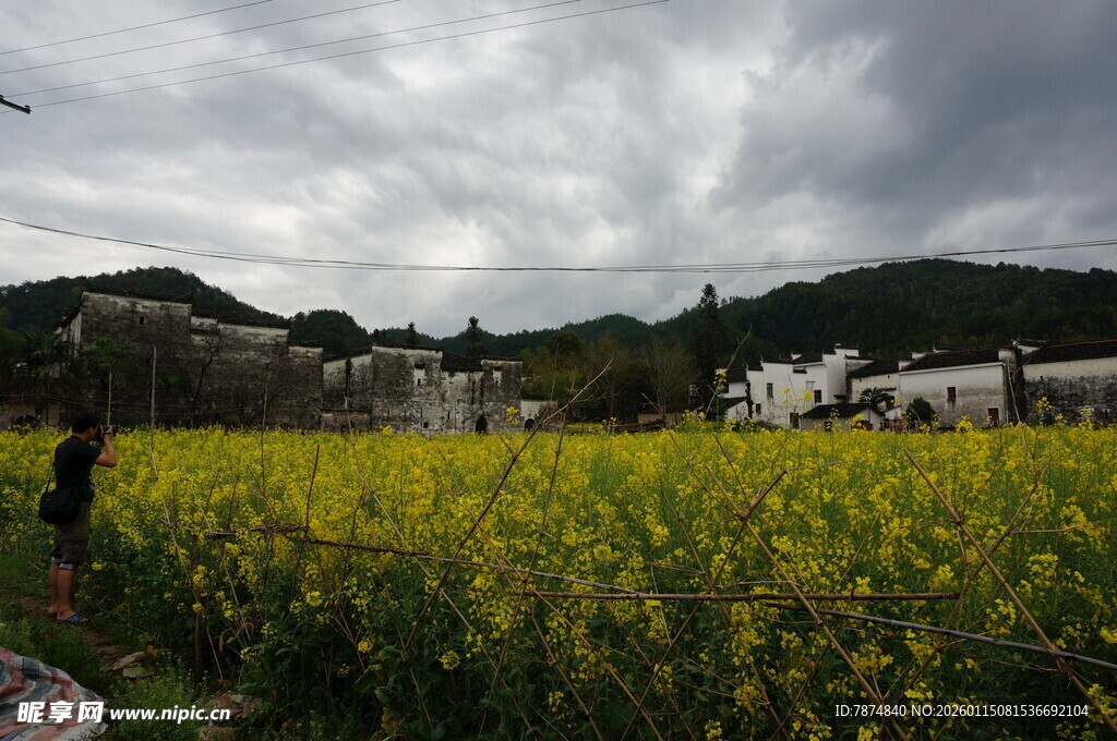 油菜花海中的乡村景致