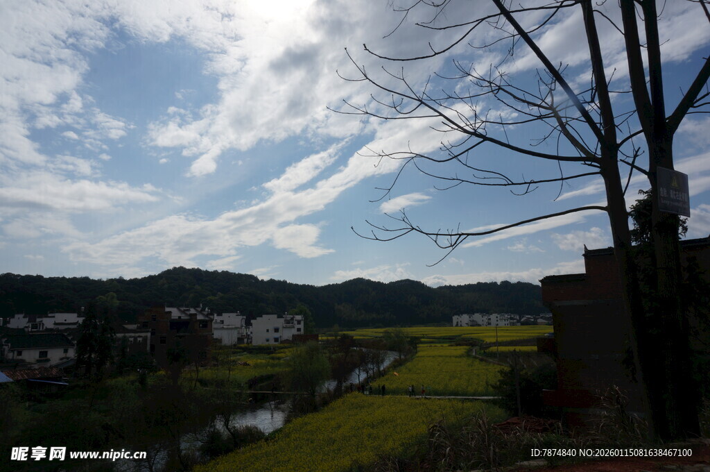田园风光下的蓝天与树木