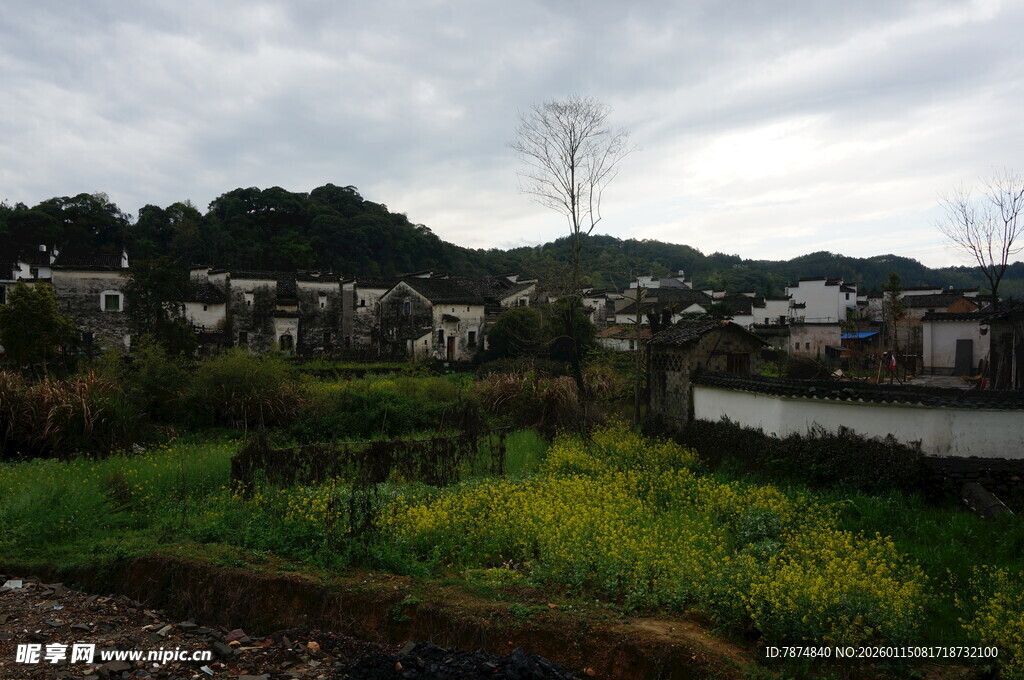 乡村田园风光美景