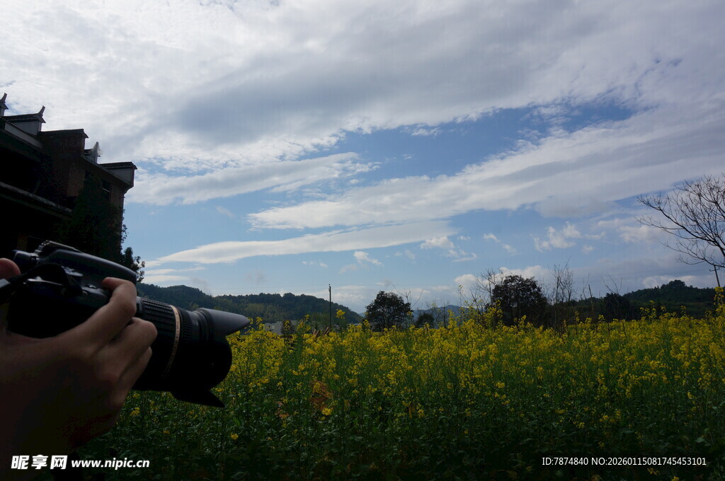镜头下的田园美景
