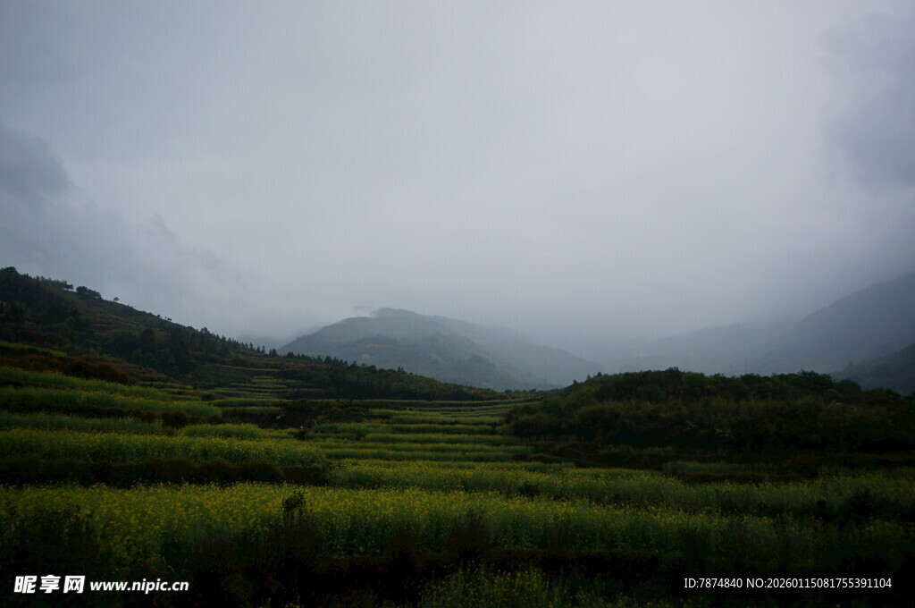 云雾笼罩下的山间绿野