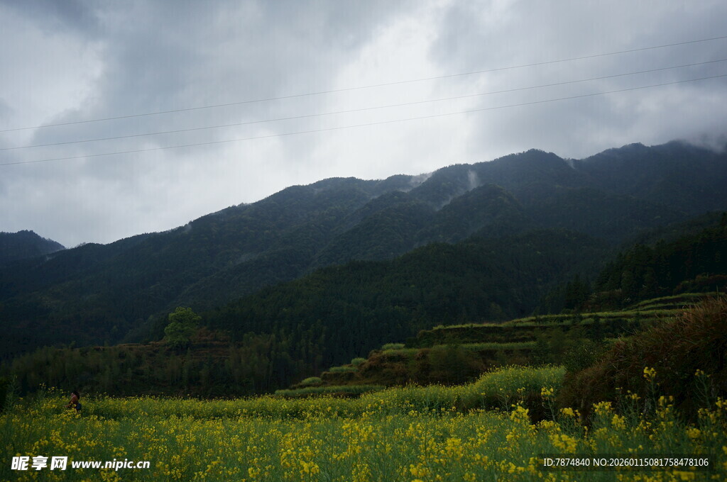 山间油菜花田与云雾山峦