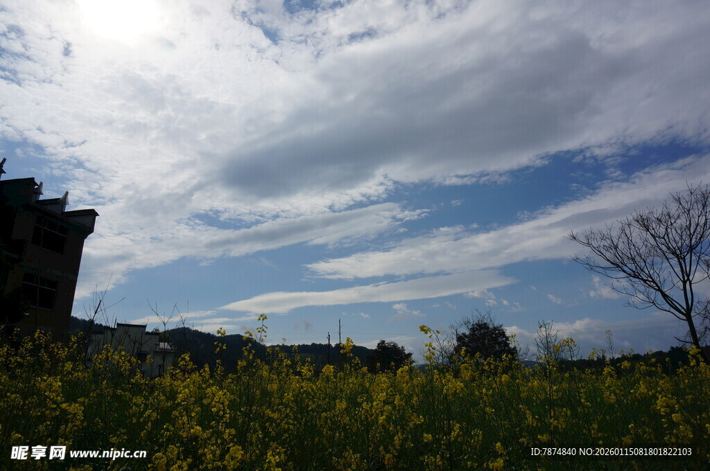 蓝天白云下的田野风光
