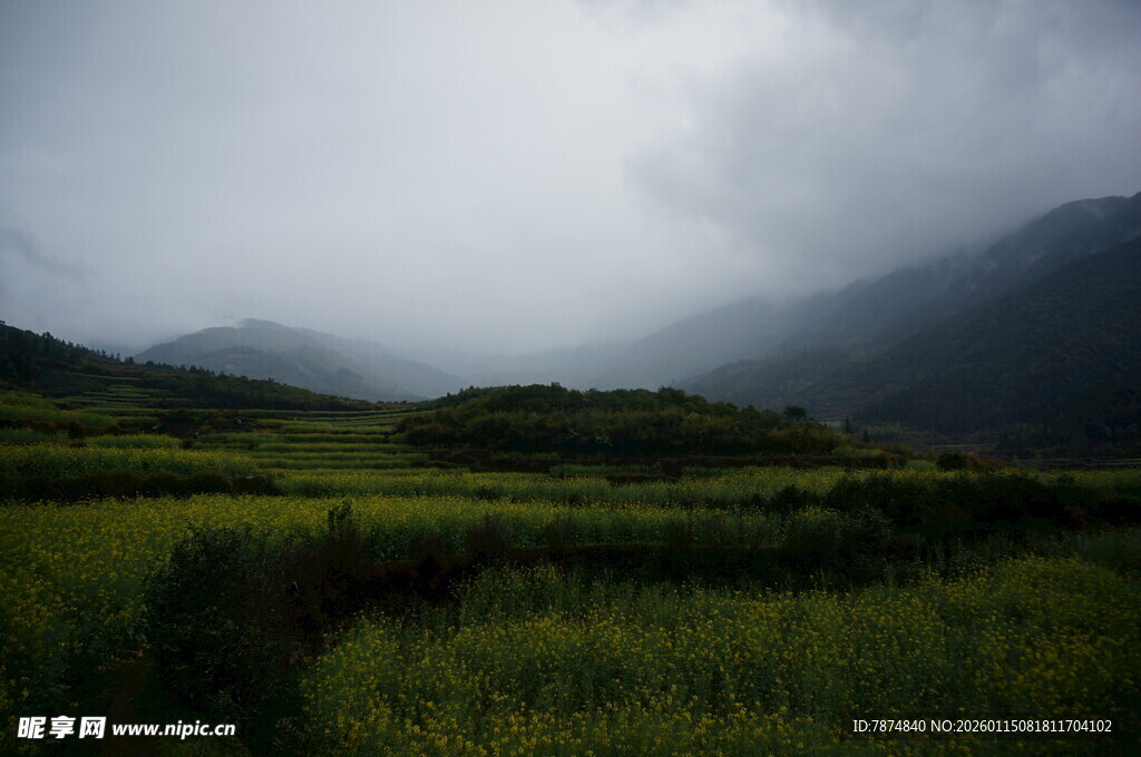 云雾笼罩下的山间绿野