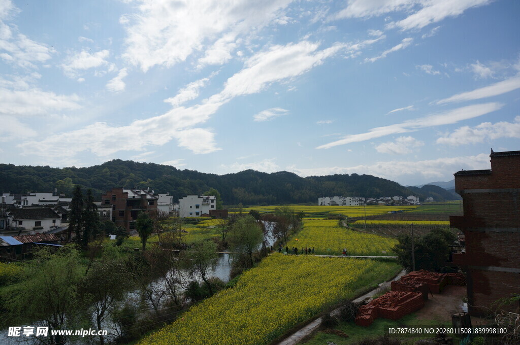 田园乡村美丽风光景色