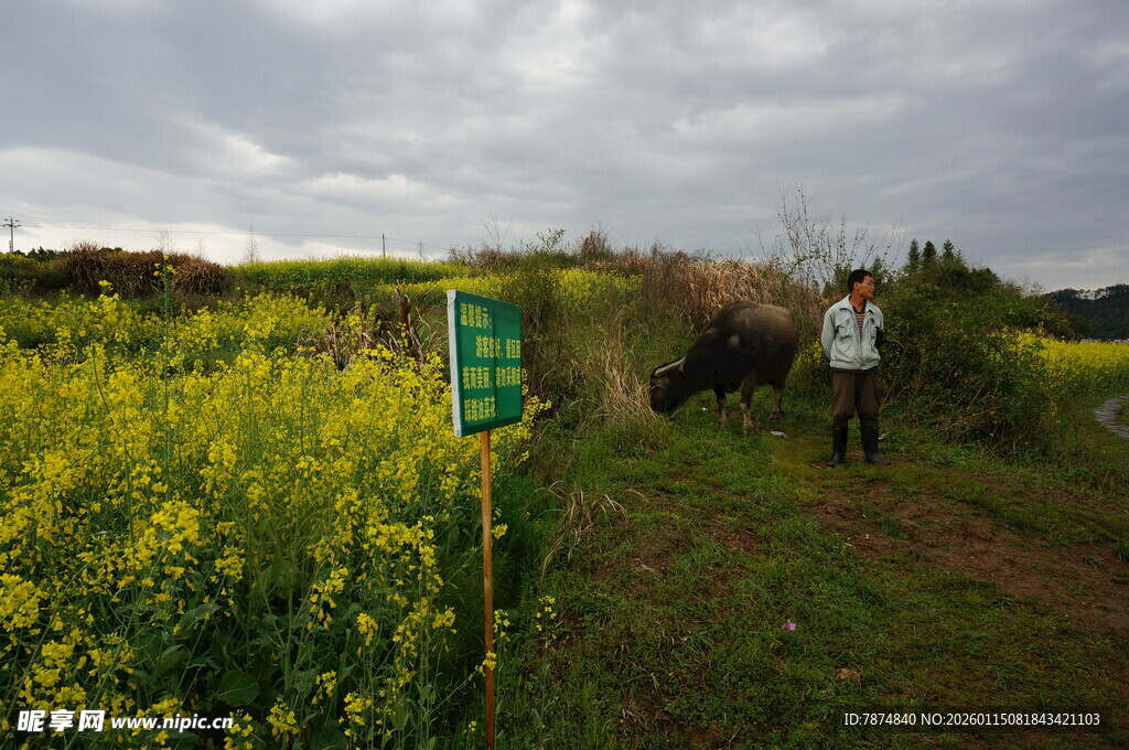 田野中的徒步者与指示牌