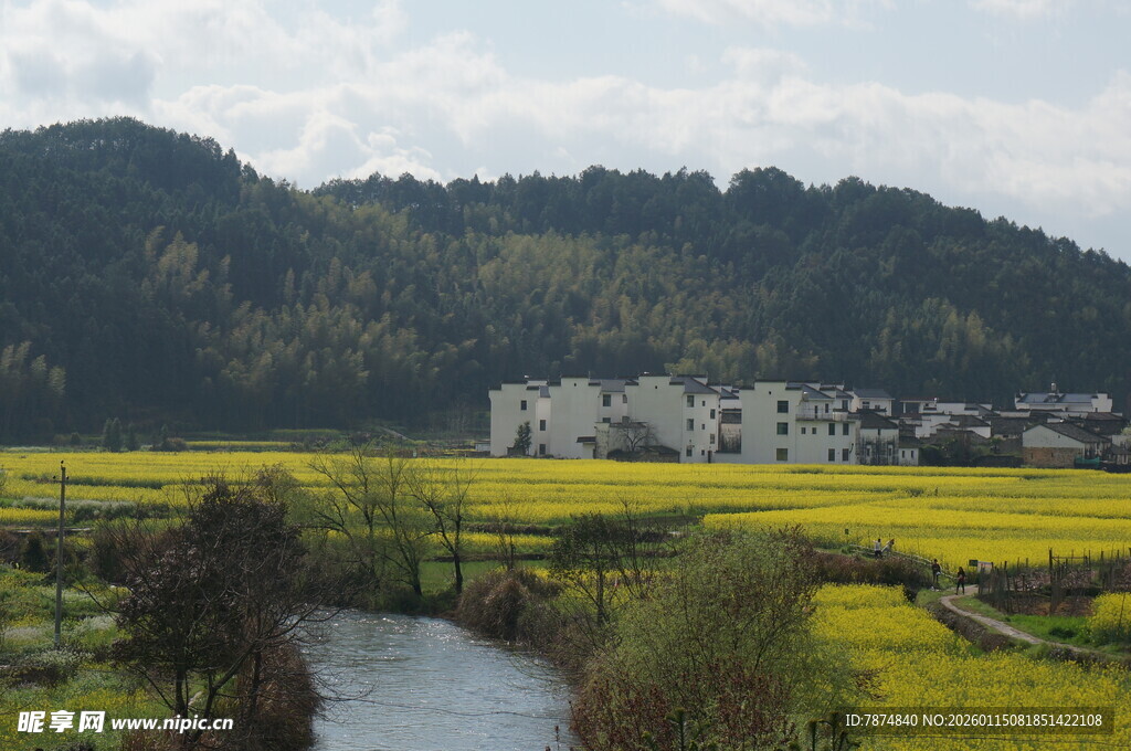 乡村春日田园河畔风光