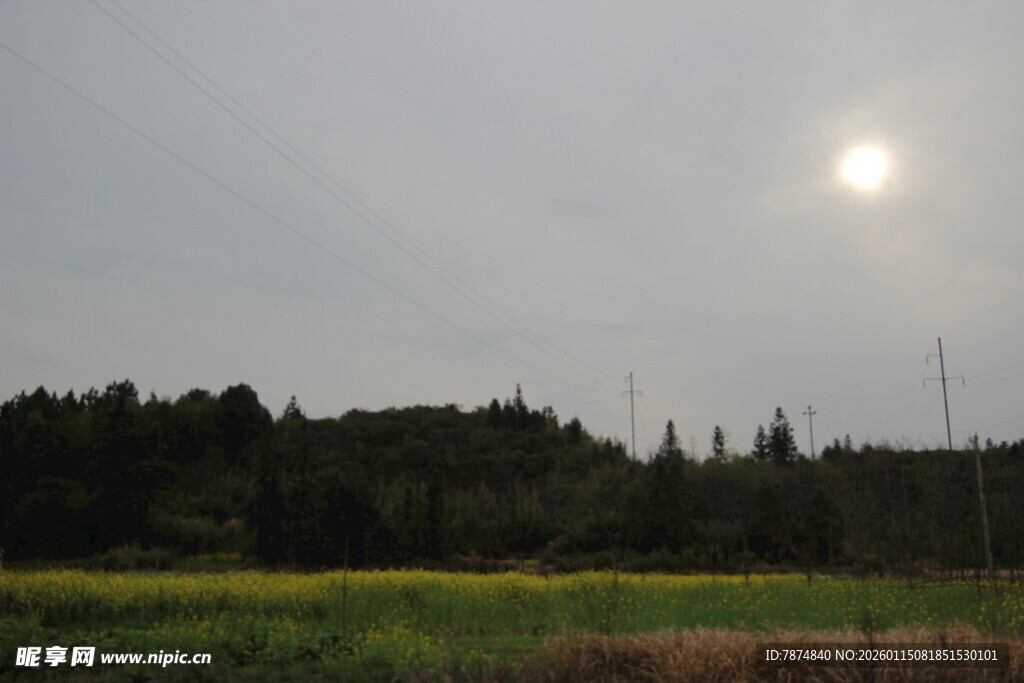 黄昏田野上的明亮太阳