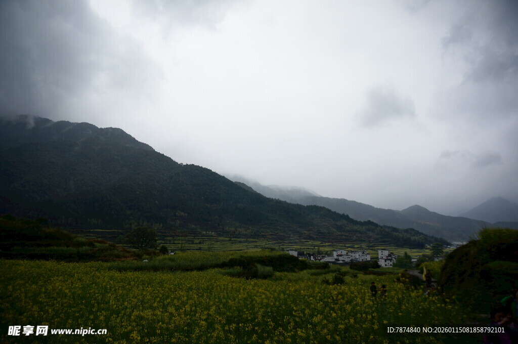 云雾笼罩下的山间绿野