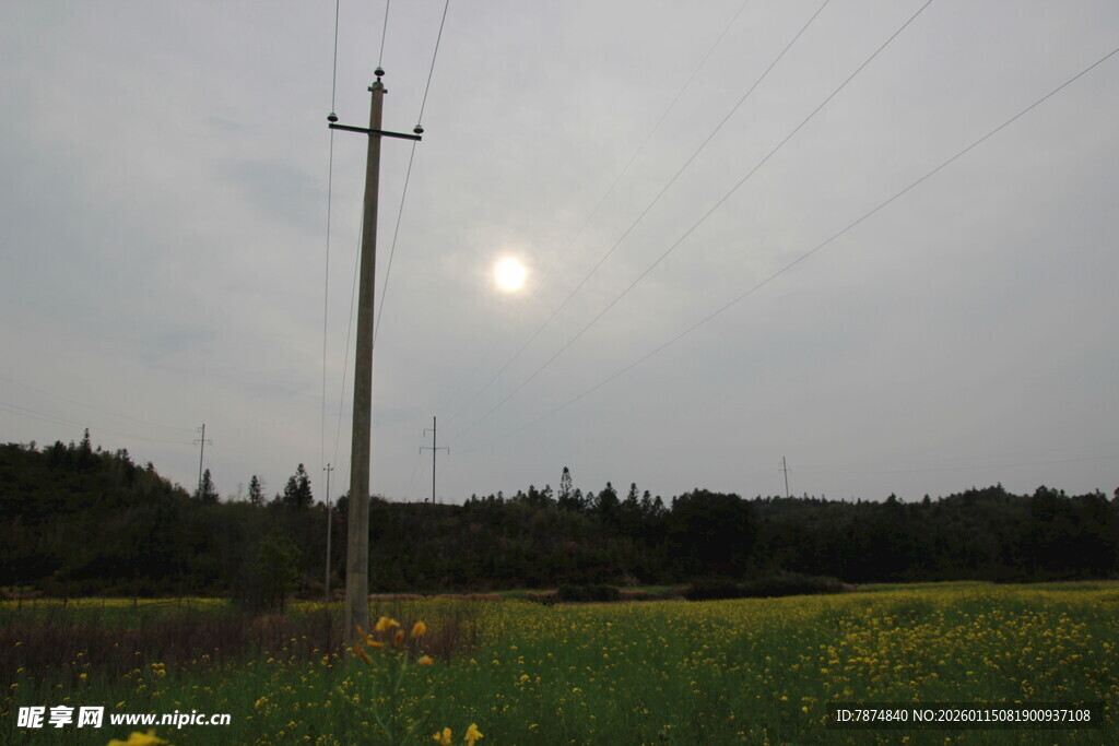 田野中的电线杆与逆光景象