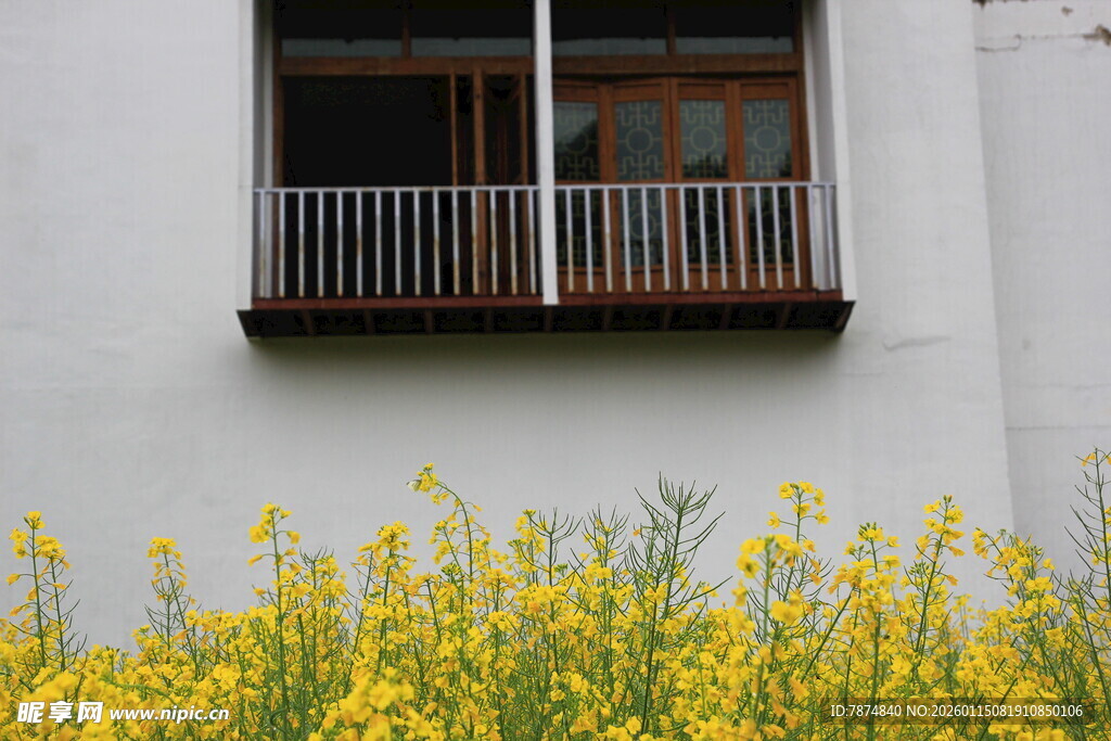 白墙黄花旁的简约阳台