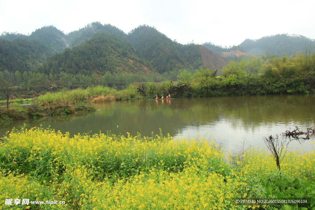春日湖畔油菜花田园风光