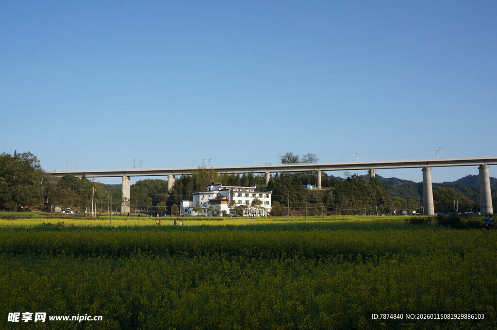 田野上的高架桥景观